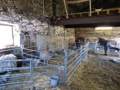 Hartsop Hall Farm near Ullswater in the Lake District