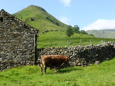 Hartsop Hall Farm near Ullswater in the Lake District