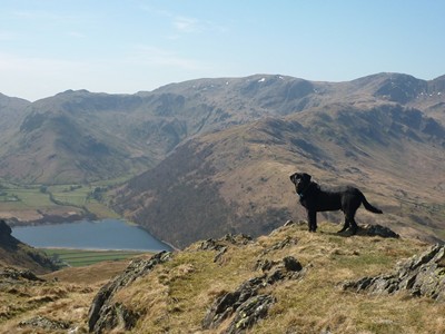 Pet Friendly Hartsop Hall Cottages